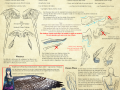 winged_people_anatomy__wing_design_by_blue_hearts-d86yjqt.png